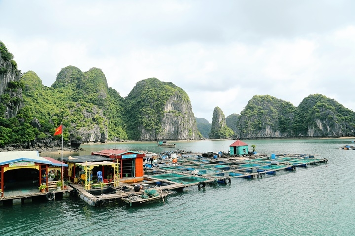 Dalla Baia di Lan Ha al Delta del Mekong 12 giorni