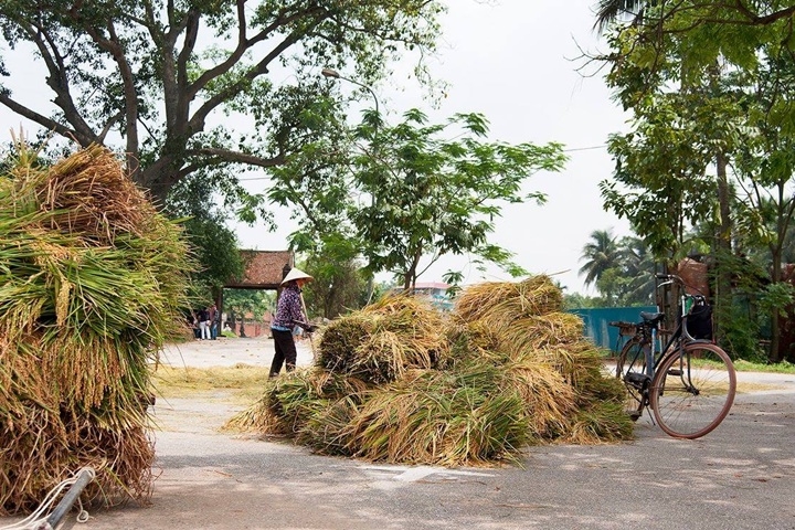 Immersione nella cultura Tonkinese
