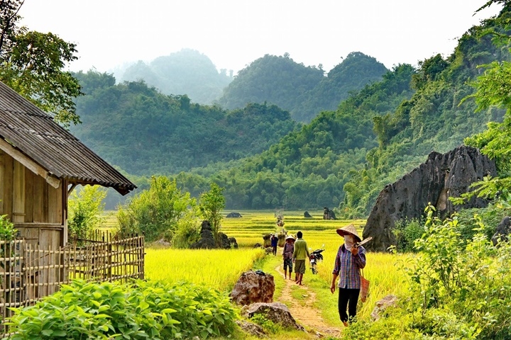 Vietnam da Nord a Sud 14 giorni