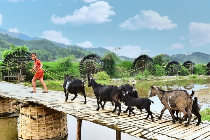 Panorama del Vietnam 15 giorni