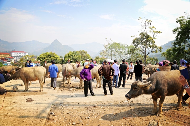 Sapori del Nord Vietnam 12 giorni