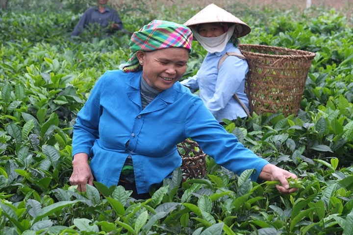 Escursioni nel paese dei Thai