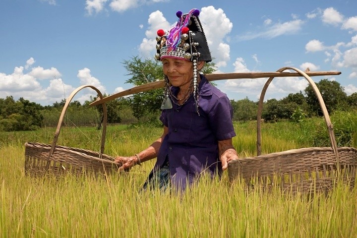Les mystères du Laos - 12 jours