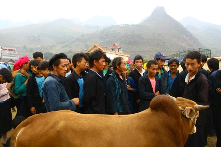 Circuit Vietnam hors des sentiers battus – 24 jours