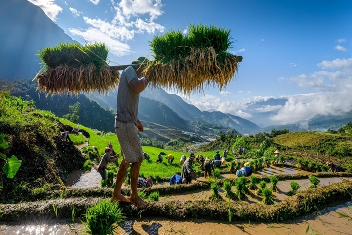 Circuit authentique Nord-Ouest Vietnam – 10 jours