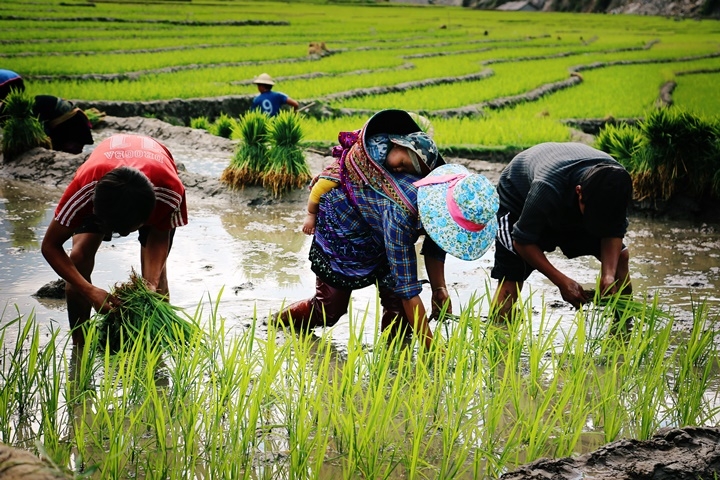 Circuit Vietnam & Laos 15 jours