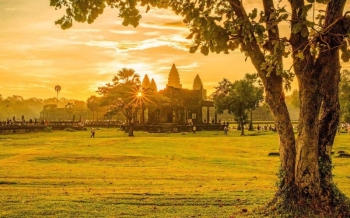 Que faire au Cambodge en juillet ? Guide complet pour bien voyager