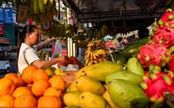 Top 10 fruits au Cambodge à découvrir : saveurs exotiques et spécialités locales