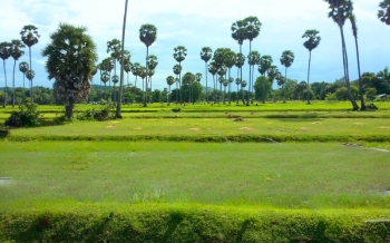 Que faire à Kampong Chhnang ?
