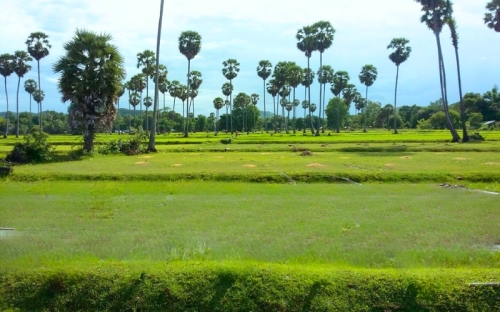 Que faire à Kampong Chhnang ?