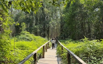 Trekking au parc national de Ream : mangroves, nature sauvage et plages désertes