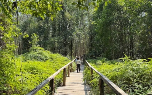 Trekking au parc national de Ream : mangroves, nature sauvage et plages désertes