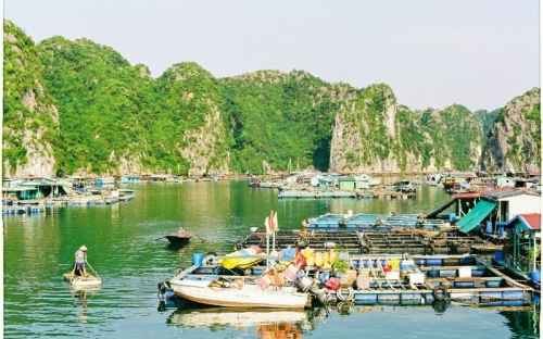 Visiter Cat Ba en 2 jours : itinéraire entre mer et villages authentiques