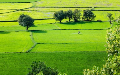 Visiter Chau Doc : que faire et que voir dans le delta du Mékong