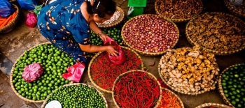 Découverte de la cuisine vietnamienne