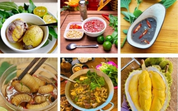 Top 10 des plats insolites du Vietnam à découvrir absolument