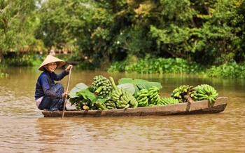 Ben Tre ou Can Tho : quelle destination choisir dans le delta du Mékong ?