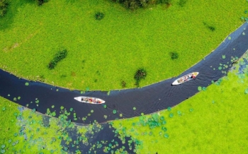 Forêt de Tra Su : tout ce qu’il faut savoir avant de visiter