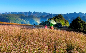 Les ethnies minoritaires à Ha Giang