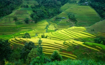 Trekking à Hoang Su Phi : entre rizières et villages ethniques
