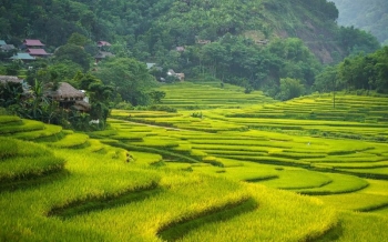Pu Luong en 2026 : Guide complet des rizières secrètes du Vietnam