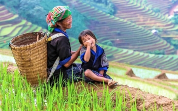 Voyage à Sapa : rencontre avec les ethnies minoritaires
