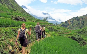 Trekking à Sapa au Vietnam : itinéraires, villages et rizières en terrasses