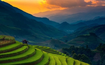 Meilleure période pour visiter Mu Cang Chai : quand partir selon les saisons ?