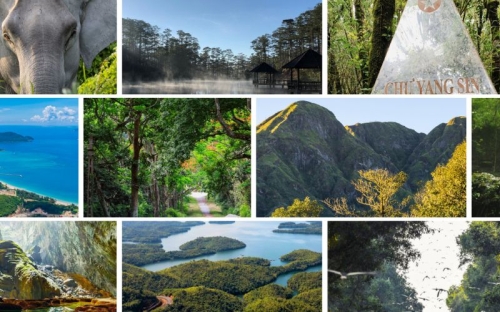 Parcs nationaux du Vietnam : les plus beaux espaces naturels à découvrir