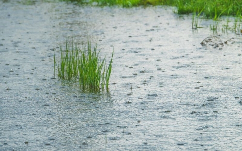 Saison des pluies au Vietnam : climat, périodes et quand partir