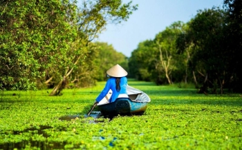 Vietnam en 12 jours : idées de circuits et conseils pratiques