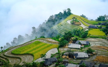 Vietnam en décembre : météo, conseils et idées de voyage