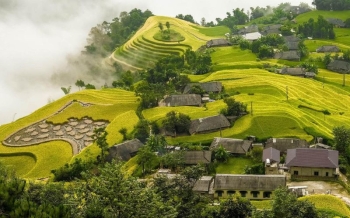 Vietnam en juillet : climat et conseils essentiels pour votre voyage