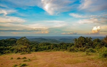 Mondolkiri : à la découverte de la jungle sauvage du Cambodge