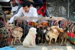 Authentic Vietnam – 19 days