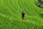 Vietnam panorama – 14 days