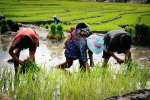 Authentic Vietnam – 19 days