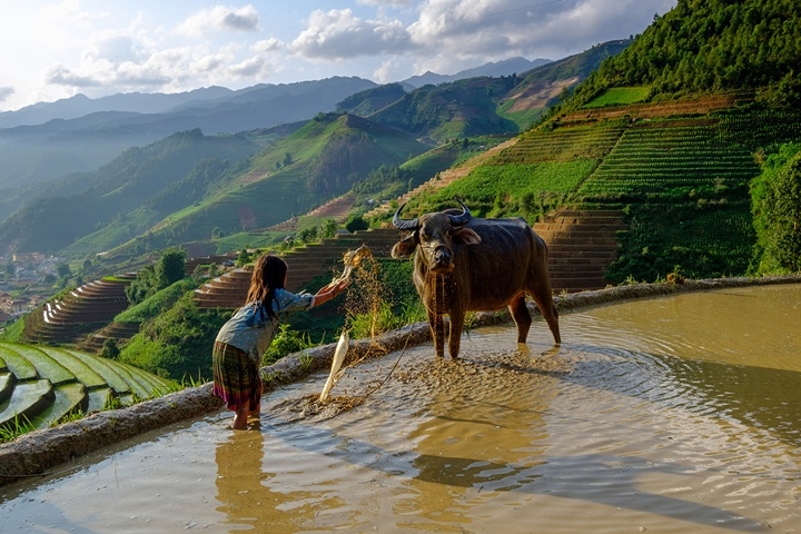 Flavours of Northern Vietnam – 12 days